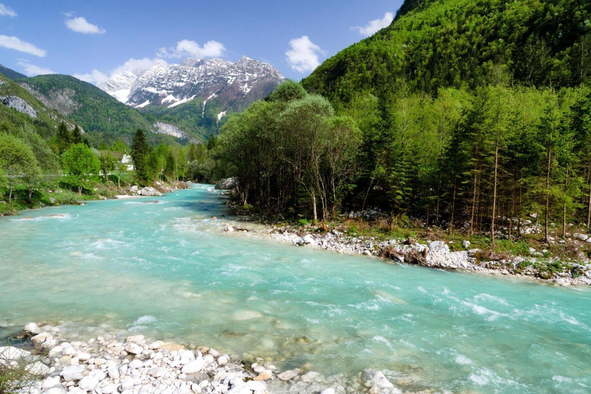 House By The Stream - Happy Rentals Avce Екстериор снимка
