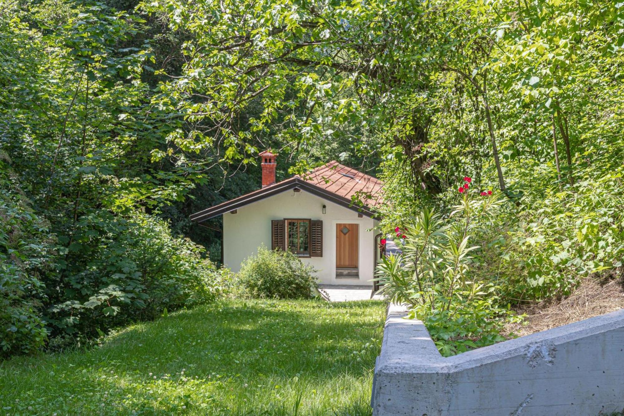 House By The Stream - Happy Rentals Avce Екстериор снимка