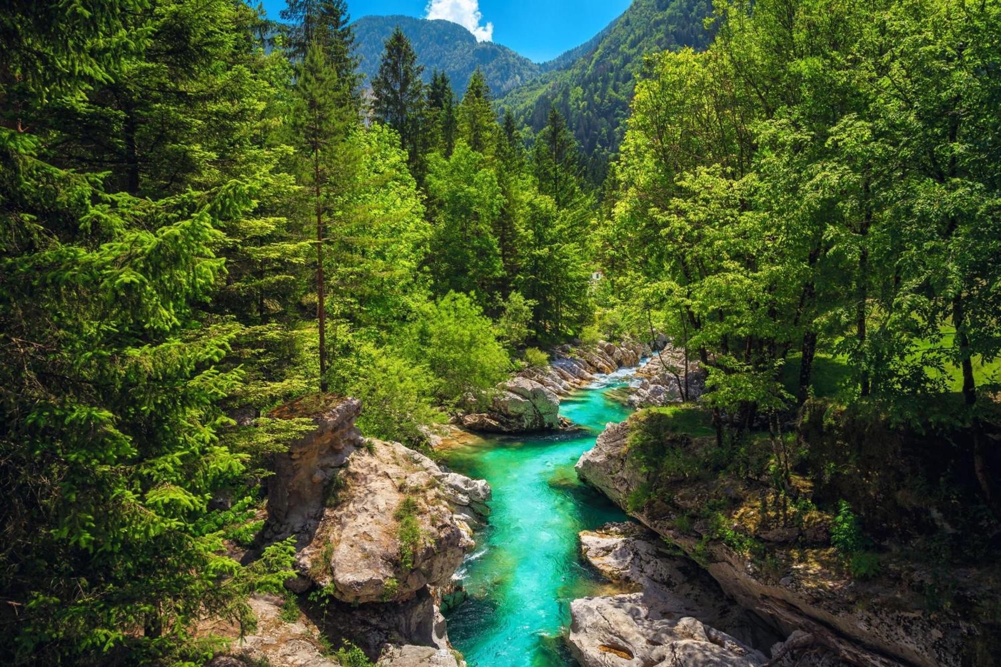 House By The Stream - Happy Rentals Avce Екстериор снимка
